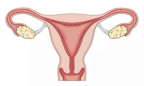 输卵管通畅为什么怀不了孕?有可能是这三个原因!
