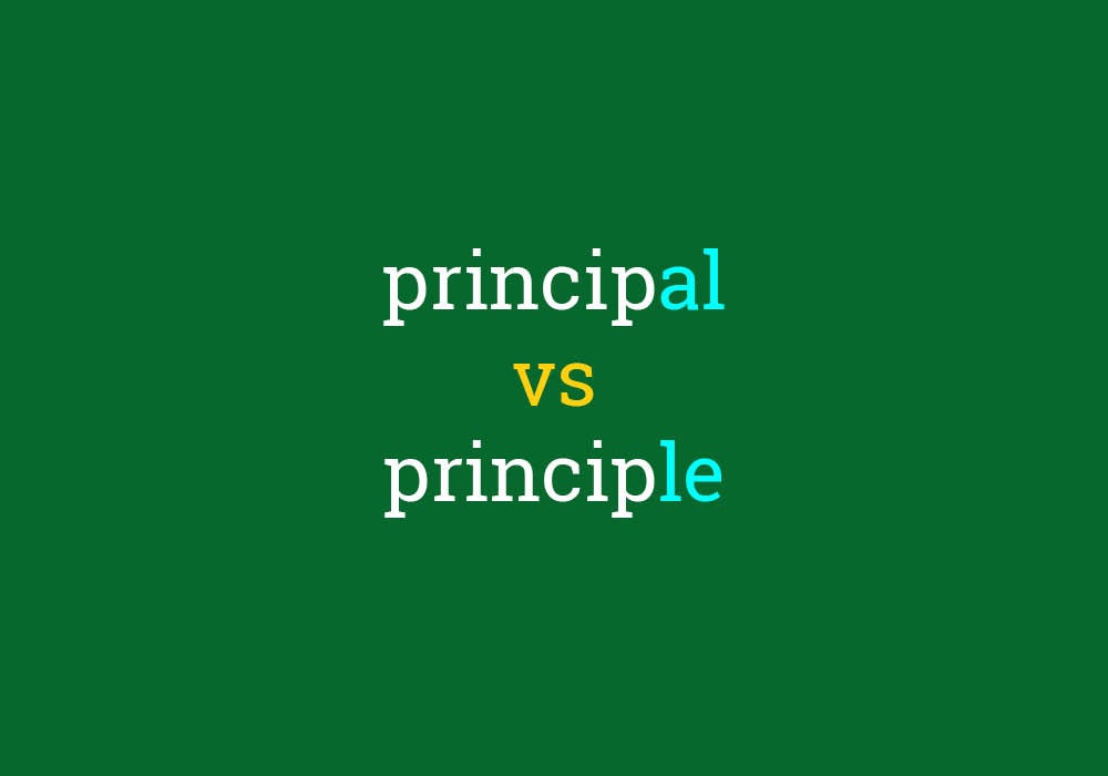 principal和principle原则和校长中间隔了一个e的距离
