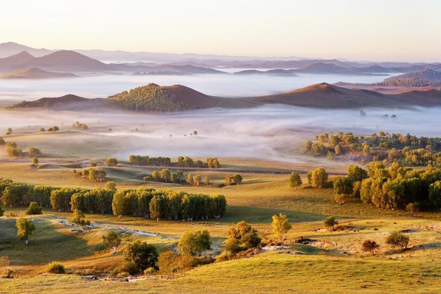 曾经的皇家狩猎之所却成荒漠,后来变绿洲,塞罕坝精神包括什么_高清
