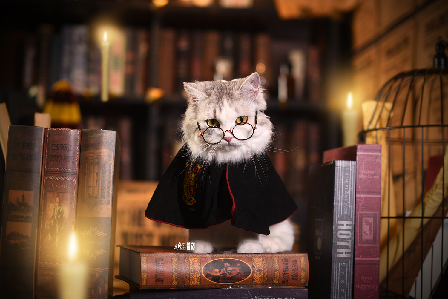 如果是麦格教授教哈利阿尼玛格斯会是这样吗