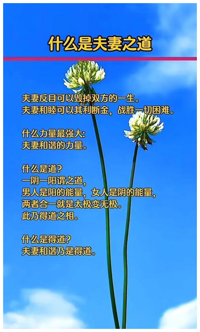 什么是夫妻之道