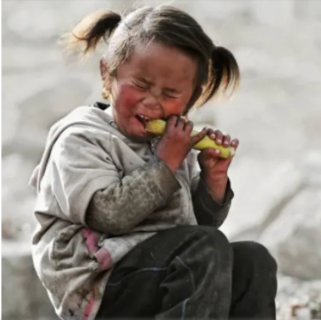 为什么中国人敢这么啃甘蔗外国人你有护体神功吗