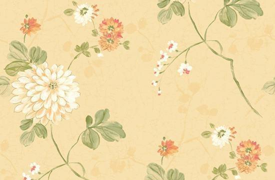 《了凡四训》一句话告诉人：活在当下，你就会幸福休闲区蓝鸢梦想 - Www.slyday.coM