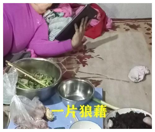 娶媳妇还是娶了个祖宗？女子玩手机几天不下床，丈夫心甘情愿伺候休闲区蓝鸢梦想 - Www.slyday.coM