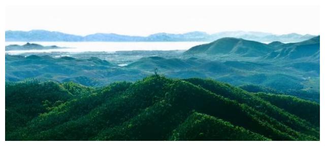 白虎四种名称称谓穴场四周的山峰外,又将山峰按金,木,水,火,土五行