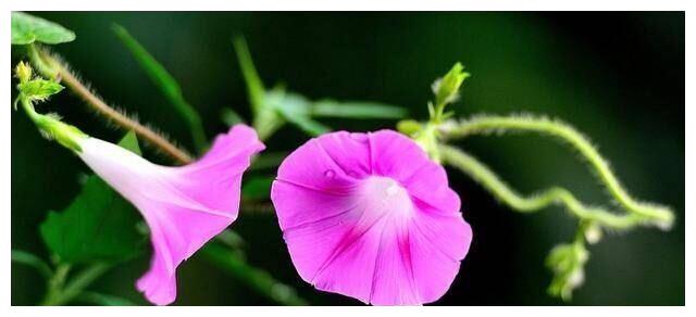 2月15日 这4大星座财源涌进 五福临门 天降鸿运 五福临门 鸿运 星座 新浪新闻