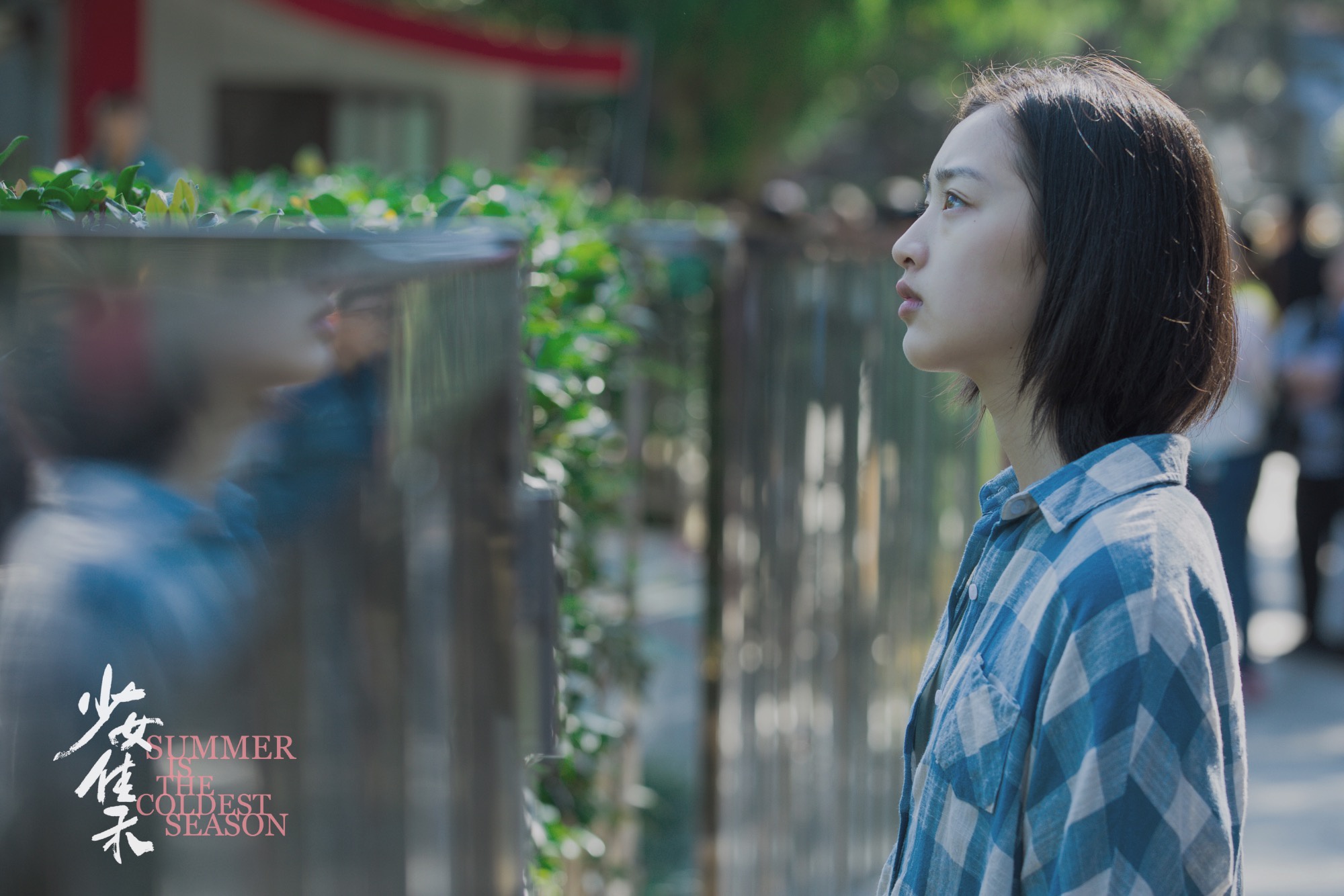 电影少女佳禾定档12月11日邓恩熙李感演绎危险青春