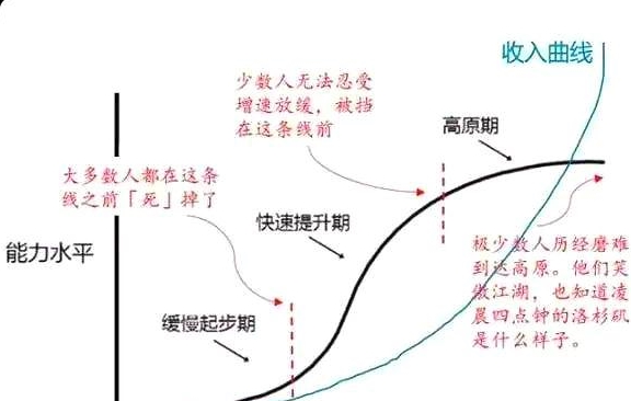 这里再奉上关于坚持的这么一条曲线,能给努力学习者以很大启示.