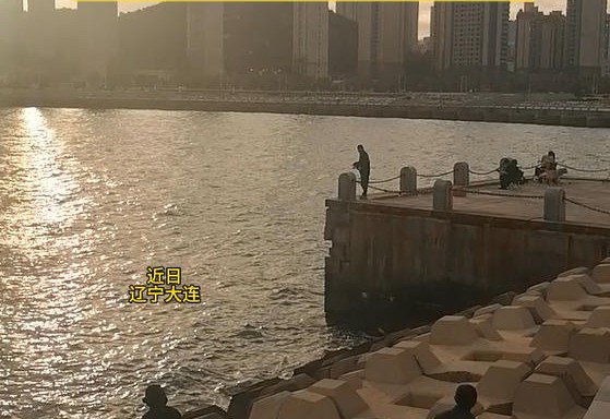 无视“禁止垂钓”!大连雕塑公园海岸有人冒险钓鱼 无视“禁止垂钓”!大连雕塑公园海岸有人冒险钓鱼