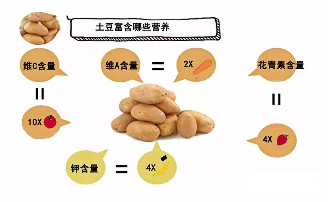 揭秘土豆和米饭不要一起吃不然