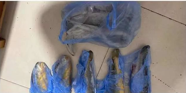 黄鱼7斤、花蛤3斤,蛏子2斤...男子吃一顿“海鲜盛宴”被拘留休闲区蓝鸢梦想 - Www.slyday.coM 黄鱼7斤、花蛤3斤,蛏子2斤...男子吃一顿“海鲜盛宴”被拘留休闲区蓝鸢梦想 - Www.slyday.coM