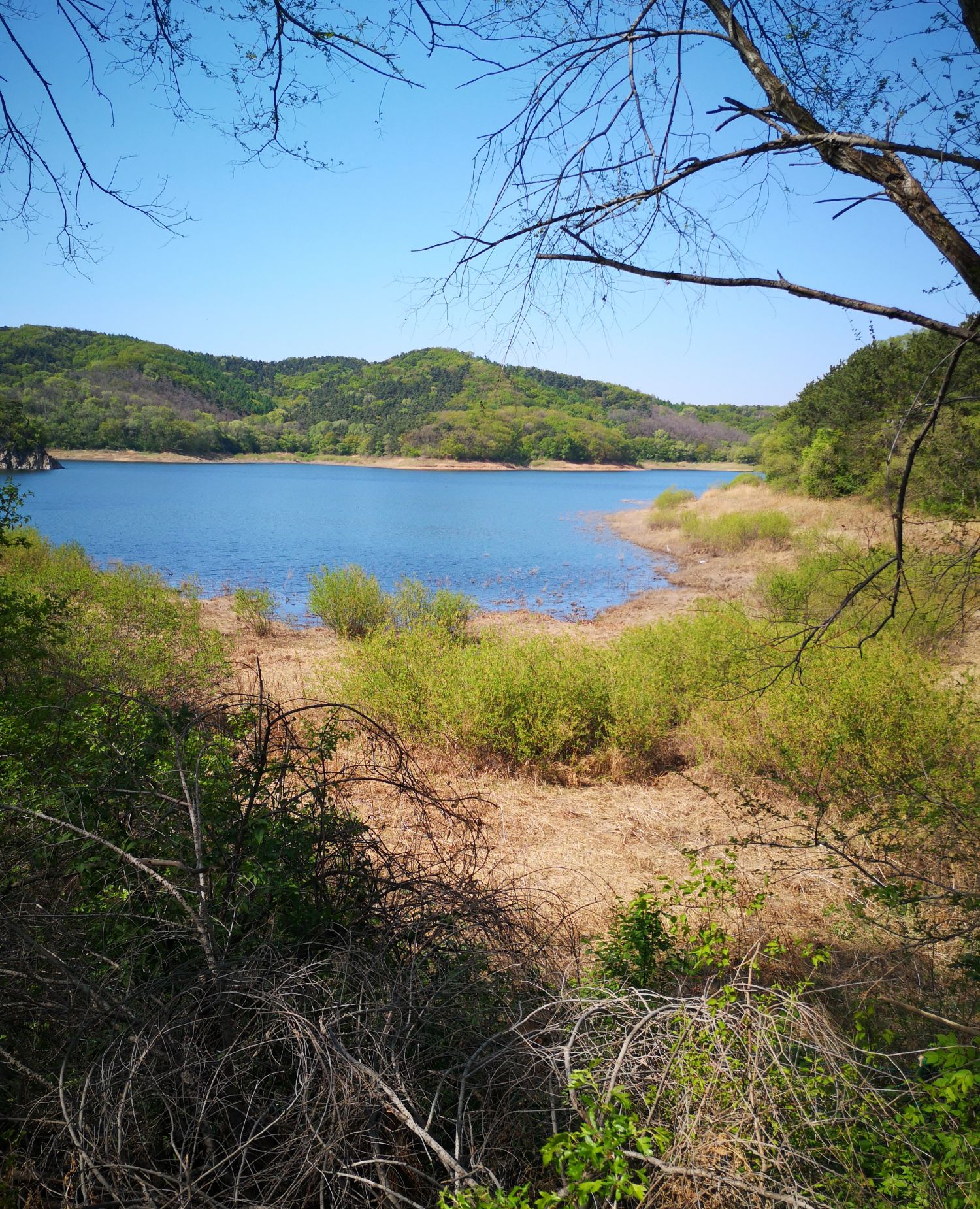 游玩大伙房水库风景区!