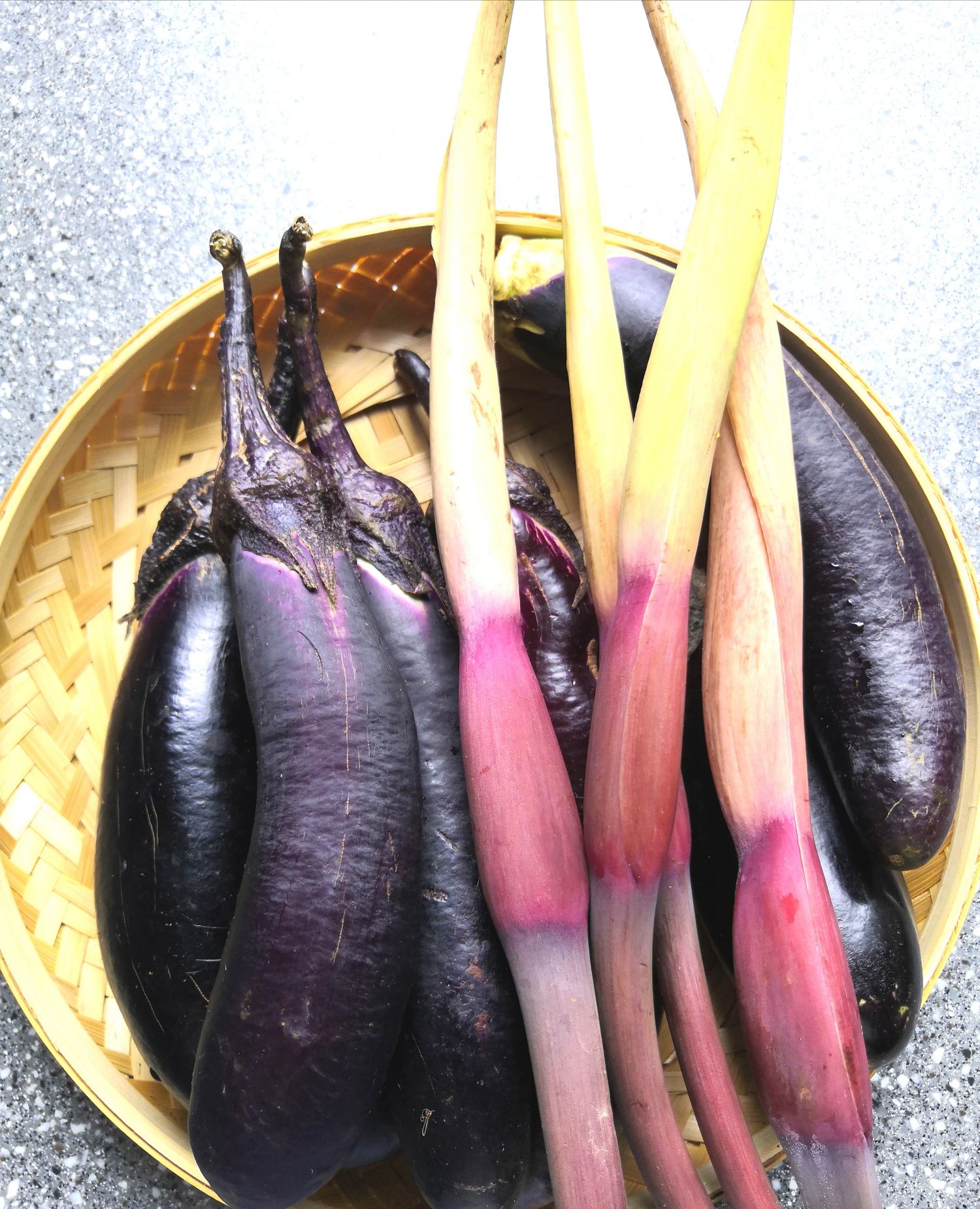 你一定要试试