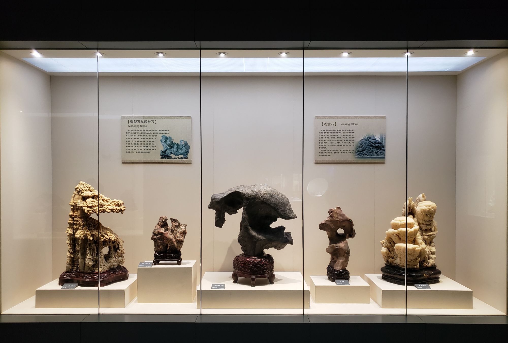 安徽省地质博物馆_高清图集_新浪网