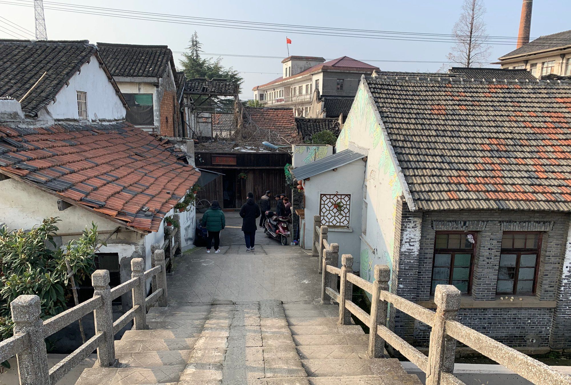 乘风破浪拍摄地丁栅