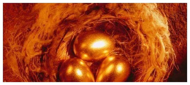 7月上旬,事业一路高涨,迎来好彩头,幸福敲门的生肖休闲区蓝鸢梦想 - Www.slyday.coM 7月上旬,事业一路高涨,迎来好彩头,幸福敲门的生肖休闲区蓝鸢梦想 - Www.slyday.coM