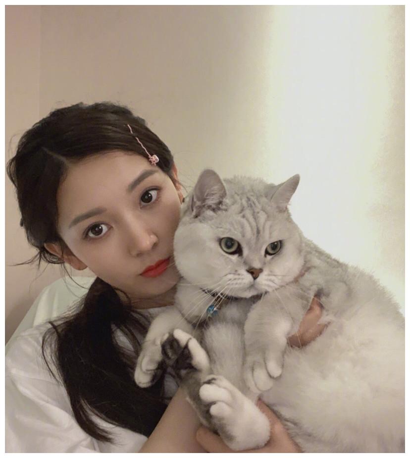 漂亮气质美女明星陈瑶居家和猫咪合照美图