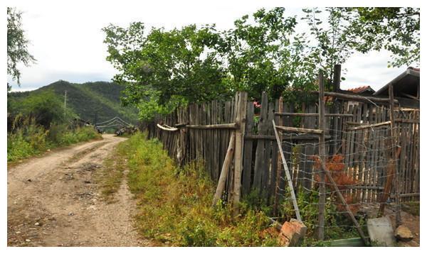 侄子结婚我给两万,去参加婚礼却没人理我,得知原因后我转身就走休闲区蓝鸢梦想 - Www.slyday.coM 侄子结婚我给两万,去参加婚礼却没人理我,得知原因后我转身就走休闲区蓝鸢梦想 - Www.slyday.coM