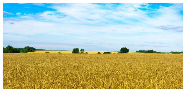 如何让双鱼座的人爱上你，按照这个恋爱建议去做，会成功休闲区蓝鸢梦想 - Www.slyday.coM