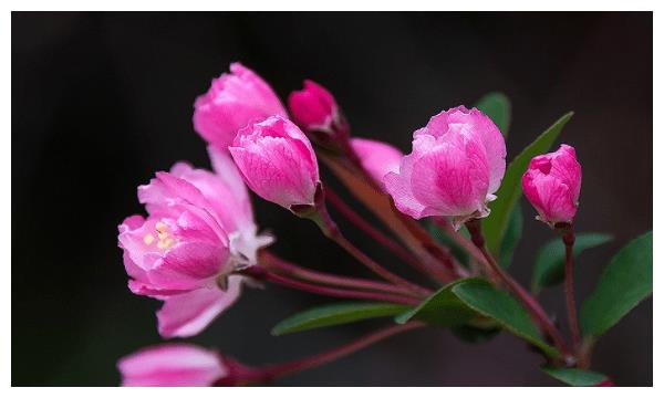 2月24日预测 1月15日后发财的星座 星座 财运 横财 新浪新闻