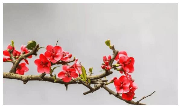 2月22日 23日 24日 财神爷连续三天加持 手软的3个星座 财神爷 三天 星座 新浪新闻