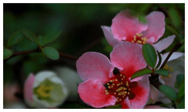 10月1日起,不愁财,3生肖有贵人陪同,苦日子不见休闲区蓝鸢梦想 - Www.slyday.coM 10月1日起,不愁财,3生肖有贵人陪同,苦日子不见休闲区蓝鸢梦想 - Www.slyday.coM