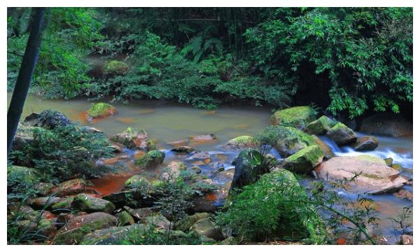 10月下旬财运高涨,越努力财运越高的3生肖休闲区蓝鸢梦想 - Www.slyday.coM 10月下旬财运高涨,越努力财运越高的3生肖休闲区蓝鸢梦想 - Www.slyday.coM