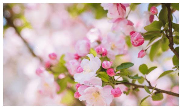 8月中旬,迎接幸运,与真爱不期而遇,顺利脱单的三大生肖休闲区蓝鸢梦想 - Www.slyday.coM 8月中旬,迎接幸运,与真爱不期而遇,顺利脱单的三大生肖休闲区蓝鸢梦想 - Www.slyday.coM