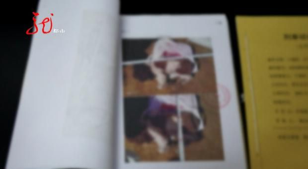 牡丹江一小区11只宠物犬相继被毒死，凶手竟是小区保安，已被判刑休闲区蓝鸢梦想 - Www.slyday.coM