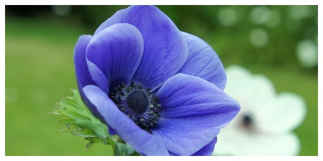 3月11日 15日星座运势 金牛座头脑灵活 双鱼座明确目标