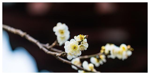 7月15日 四大星座坏事不近身 连绵不绝大吉大利 收入节节高升 星座 巨蟹座 喜事 新浪新闻