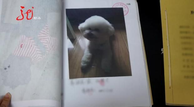 牡丹江一小区11只宠物犬相继被毒死，凶手竟是小区保安，已被判刑休闲区蓝鸢梦想 - Www.slyday.coM