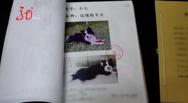 牡丹江一小区11只宠物犬相继被毒死，凶手竟是小区保安，已被判刑休闲区蓝鸢梦想 - Www.slyday.coM