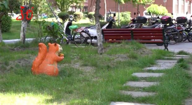 牡丹江一小区11只宠物犬相继被毒死，凶手竟是小区保安，已被判刑休闲区蓝鸢梦想 - Www.slyday.coM