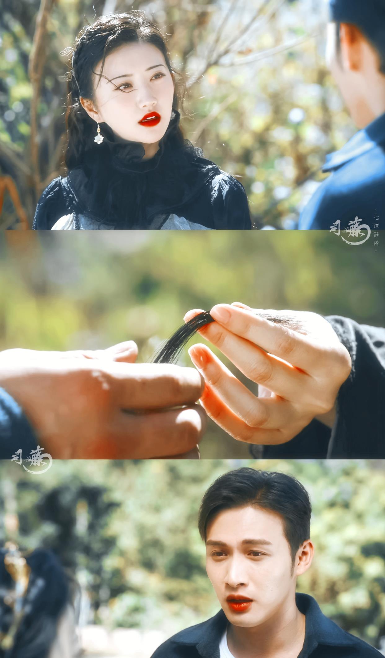 半妖司藤美人赠青丝司藤担心秦放爱上沈银灯秦放心里有数