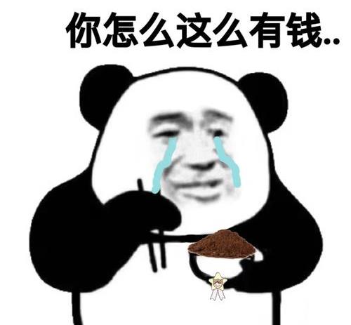 开心笑话：我第一次和老婆去她闺蜜家，她闺蜜新养了只蝴蝶犬休闲区蓝鸢梦想 - Www.slyday.coM