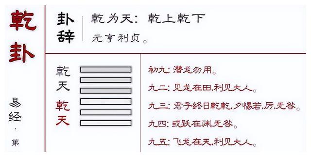 俗讲《周易》2- 乾卦的故事|乾卦|周易|鳄鱼_新浪新闻