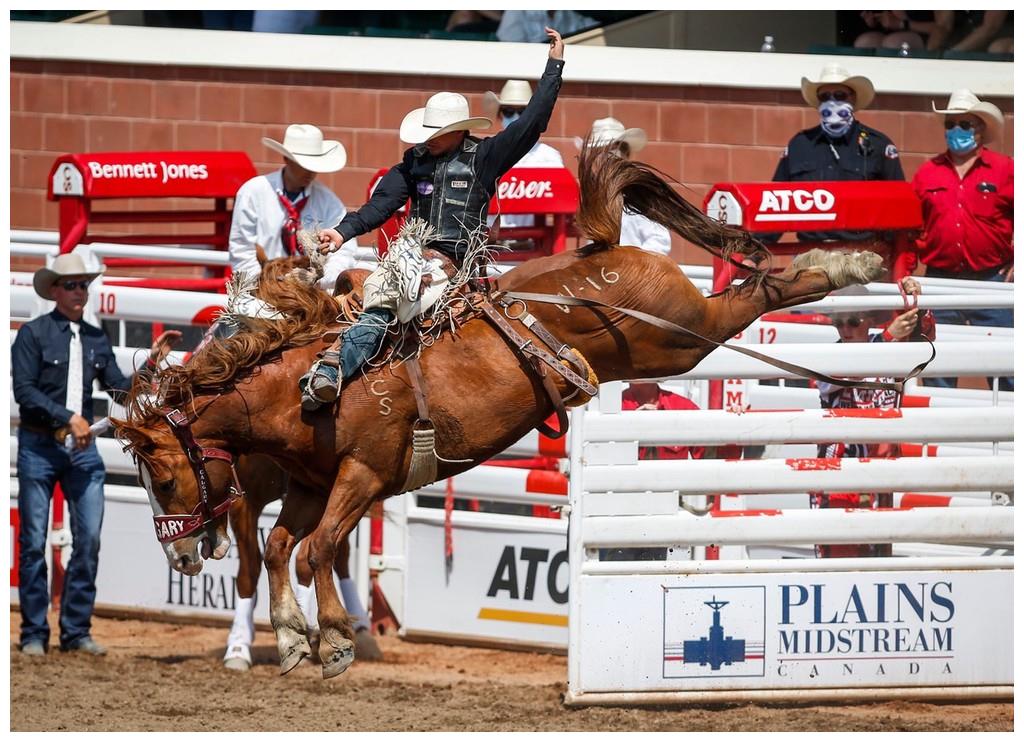 加拿大卡尔加里牛仔节举行 人仰马翻险象环生