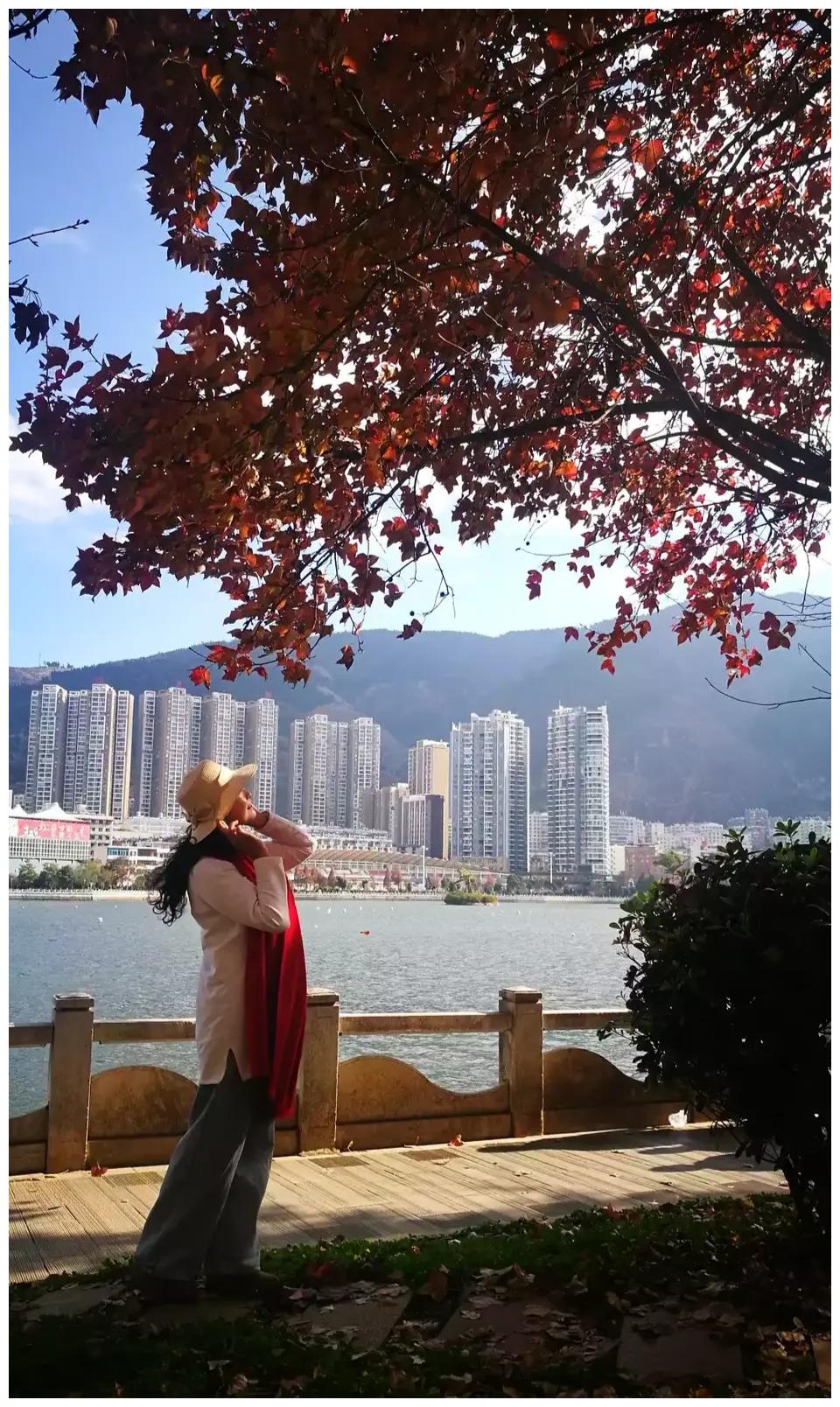 50岁的女人象茶品尝过后是让人回味无穷的芳香沁人心扉