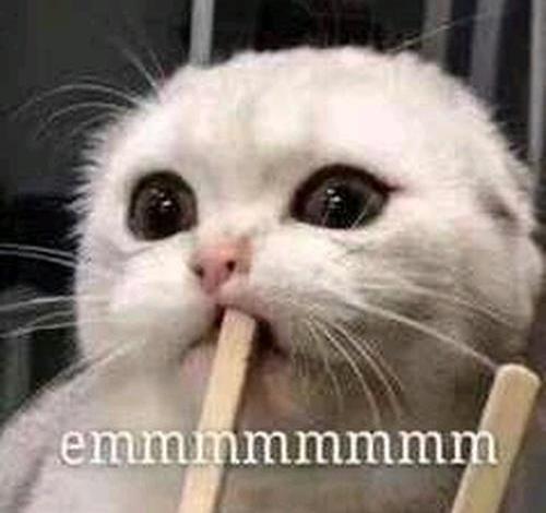 开心笑话：今天被几只猪堵住了去路休闲区蓝鸢梦想 - Www.slyday.coM