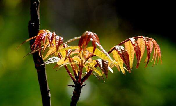 中国最爱吃苦的2座城市,外地人称,有钱人口味真重休闲区蓝鸢梦想 - Www.slyday.coM 中国最爱吃苦的2座城市,外地人称,有钱人口味真重休闲区蓝鸢梦想 - Www.slyday.coM