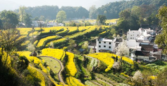 中国口碑最好的5个景点,游客去了一次还想第二次,你打卡过几处休闲区蓝鸢梦想 - Www.slyday.coM 中国口碑最好的5个景点,游客去了一次还想第二次,你打卡过几处休闲区蓝鸢梦想 - Www.slyday.coM