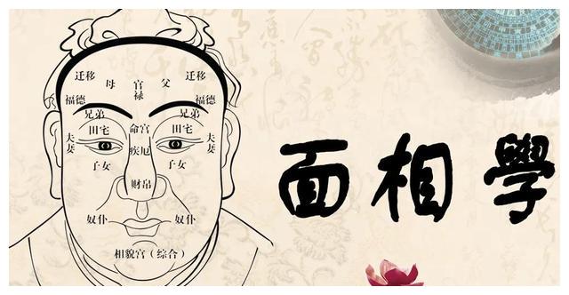 面相学:了解一个人的40个相术口诀,简单实用,通俗易懂|面相学|腮骨|劳碌_新浪新闻
