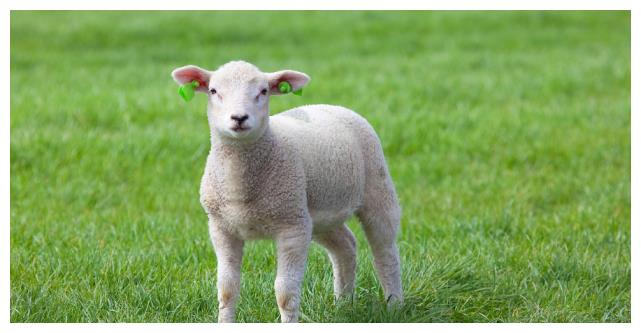 1967年属羊人,2022年的运程大全,请三思再三思,注定是场悲剧?