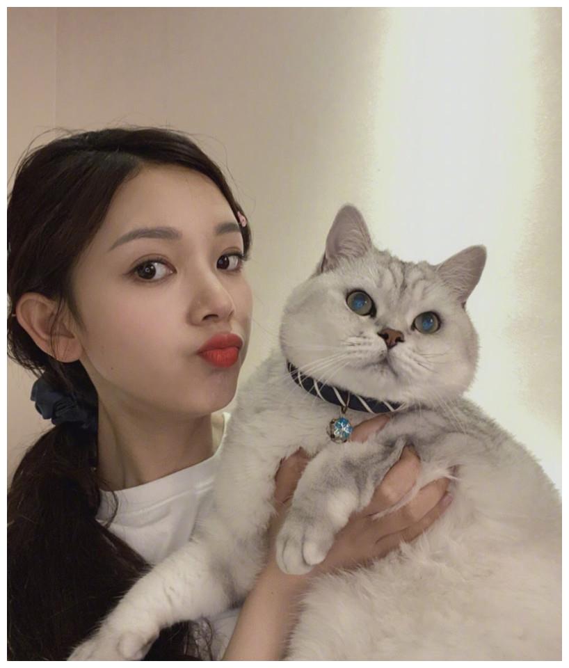 漂亮气质美女明星陈瑶居家和猫咪合照美图