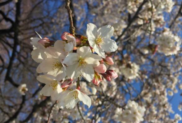 3月底，情商提升，眼界高远，3大星座旧情人原谅，再度牵手