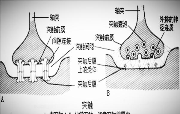 运动坚持不下去了,不是你懒,是它的错——运动性疲劳休闲区蓝鸢梦想 - Www.slyday.coM 运动坚持不下去了,不是你懒,是它的错——运动性疲劳休闲区蓝鸢梦想 - Www.slyday.coM