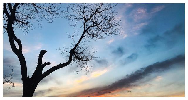 男子车祸重伤,妻子放弃治疗,哥哥垫钱救弟弟却被寒了心休闲区蓝鸢梦想 - Www.slyday.coM 男子车祸重伤,妻子放弃治疗,哥哥垫钱救弟弟却被寒了心休闲区蓝鸢梦想 - Www.slyday.coM