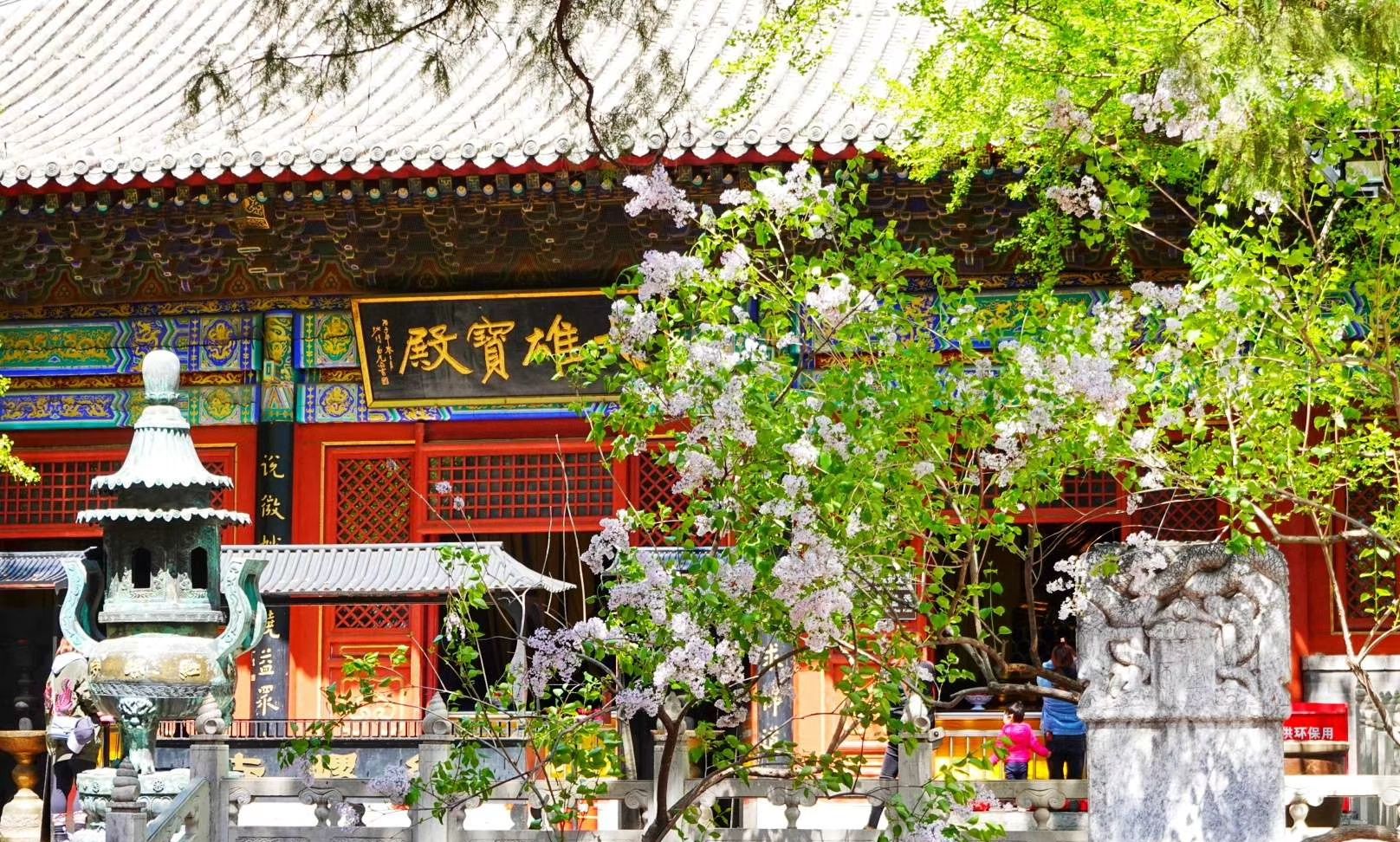 北京春天遭遇持续狂风,静谧的京郊红螺寺