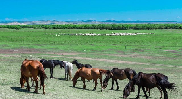 世界排名前四的草原，我国也有一处上榜，还有20天就到了最美季节休闲区蓝鸢梦想 - Www.slyday.coM
